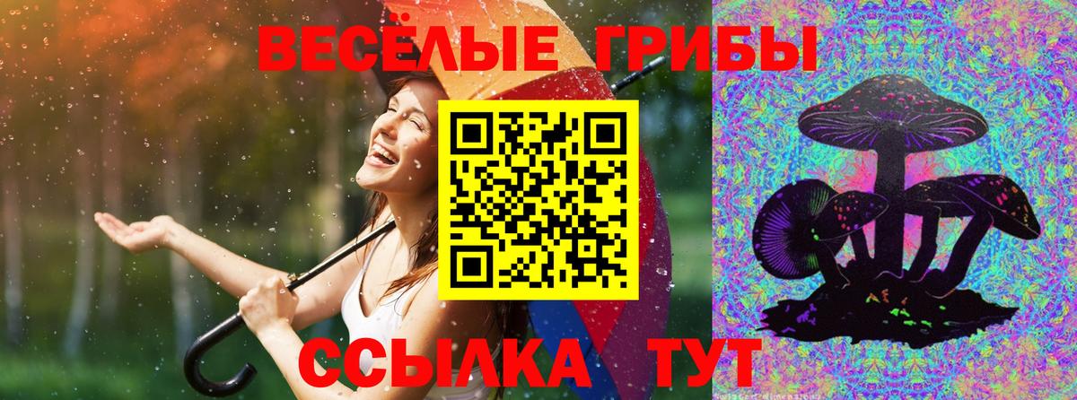 Галлюциногенные грибы ЛСД Владикавказ
