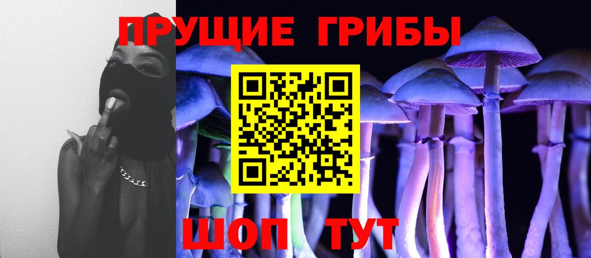 Псилоцибиновые грибы Psilocybe  Галлюциногенные грибы мицелий  Владикавказ  Вход с VPN 